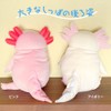 Shinada Global Mochi Series MOUP-0088P Mochi Axolotl Plushie, Stuffed Animal,