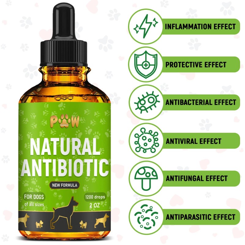 GoldenPaw Dog Antibiotics for Infections, Cough, UTI & Allergy Relief