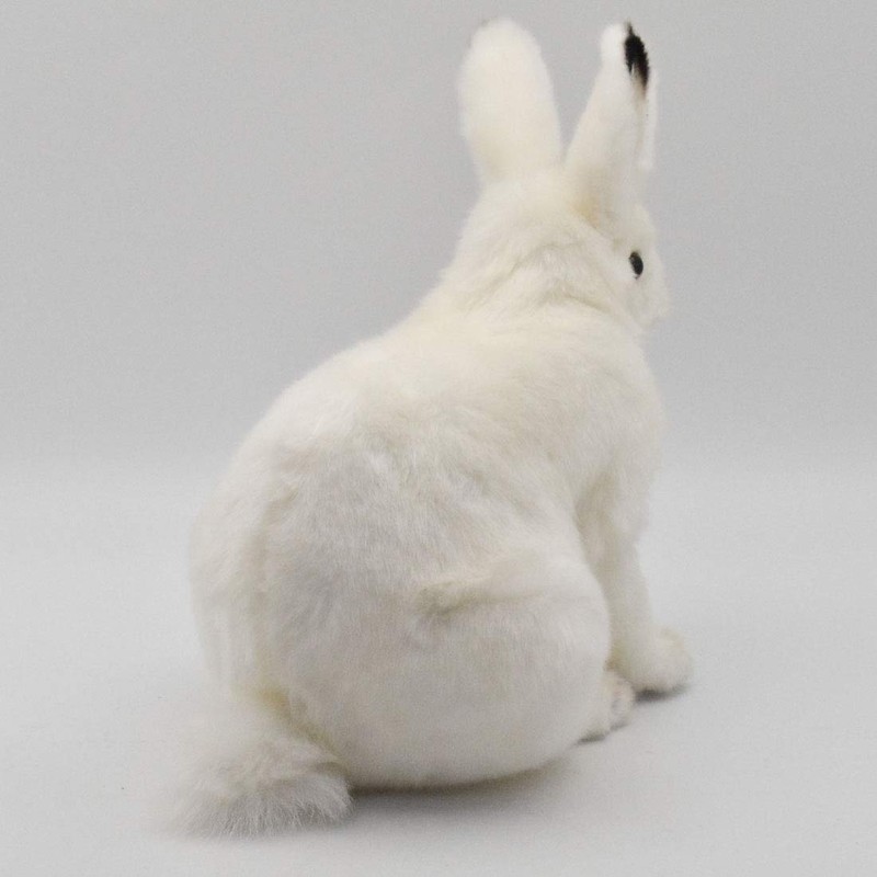 bh7851 hansa polar rabbit 30