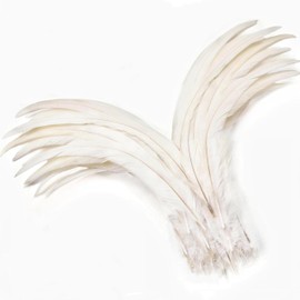 Holmgren Off-White Rooster Tail Feathers - 60pcs 12-14inch Large Rooster Tail Feathers Bulk for DIY Crafts, Wedding Party Performances Christmas Decoration（Off White)