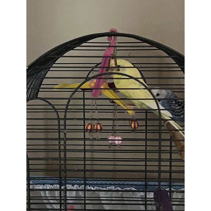 2 Bird Cage Hanging Mirrored Small Swing Perch Toys Parakeet