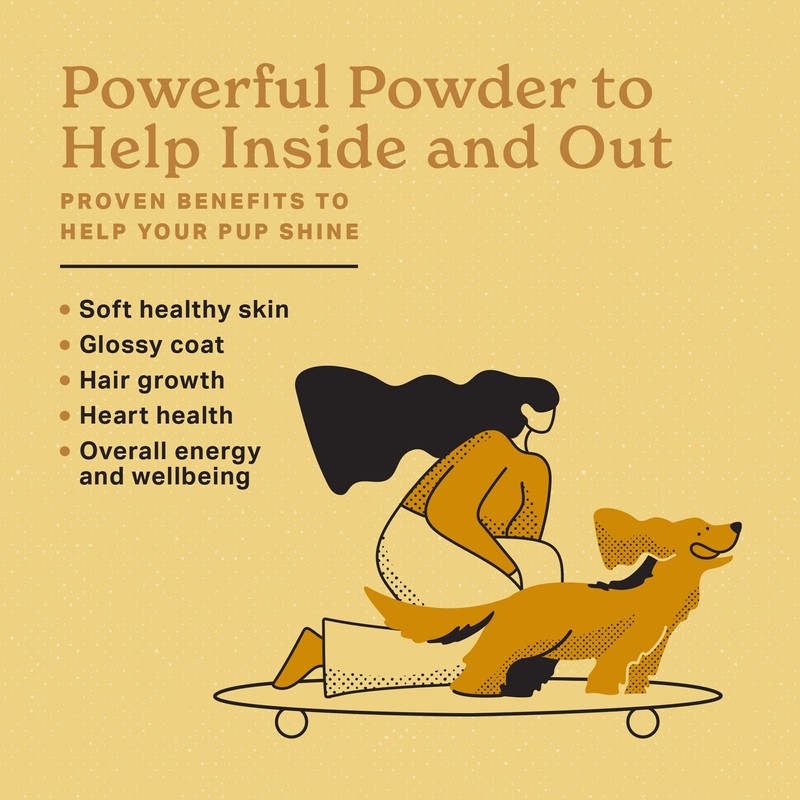 The Missing Link Skin & Coat Superfood Supplement Powder, Dogs,