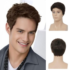 Salaibs Brown Short Wigs for Men Natural Looking Side Part Synthetic Fibre Hair Wig for Daily Use