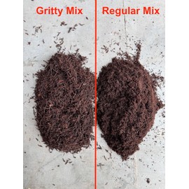 Premium Gritty New Zealand Tree Fern Fiber Growing Medium and Reptile Substrate- Natural, Organic, Long Lasting | for Orchids and Tropicals | Use in Terrariums and Vivariums (1 Gallon)