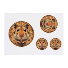 4 x 'Cute Hamster' Temporary Tattoos - Water Resistant, Skin-Safe, Non-Toxic Transfers, Mixed Sizes (TO00081792)