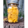 Great Lakes Woodcraft Autumn Apple and Cinnamon Beeswax melts