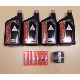 New 2001-2014 Honda GL 1800 Goldwing Gold Wing OE Basic Oil Service Tune-Up Kit