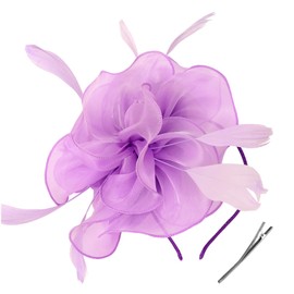 DRESHOW Fascinators Hat Tea Party Headwear Ribbons Feathers on a Headband and a Clip for Girls and Women