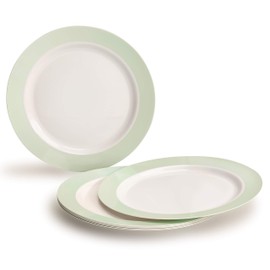 " OCCASIONS " 240 Plates Pack, Disposable Wedding Party Plastic Plates (10.5'' Dinner Plate, Rio in White & Pearled Green)