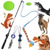 LIODUX 5 Pcs Flirt Pole for Dogs Exercise Chase Tug