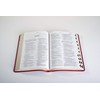 NLT Thinline Reference Holy Bible (Red Letter, LeatherLike, Aurora Cranberry,