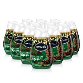 Renuzit Seasonal Gel Air Freshener, Evergreen Magic, 12 count Total Air Fresheners