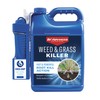 BioAdvanced Weed & Grass Killer, Ready-to-Use, 1.3 Gallon