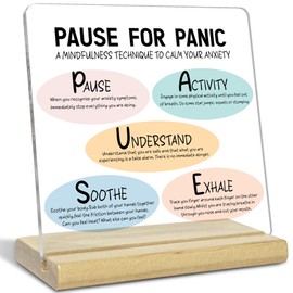 Inspirational Acrylic Plaque Gifts for Offfice Decor, Pause For Panic, Positive Mental Health Awareness Gifts For Therapists