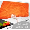 Lashuma Linz Terry Towels, Kitchen Towel Set of 4, Colour: