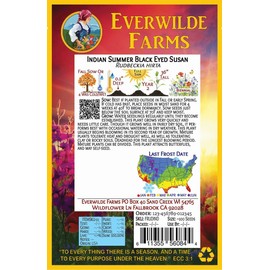 Everwilde Farms - 100 Indian Summer Black-Eyed Susan Native Wildflower Seeds - Gold Vault Jumbo Seed Packet