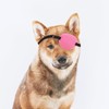 Beavorty Parche Ocular Ajustable para Perros, Suave y Protector