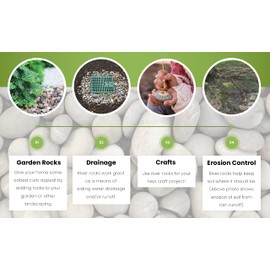 Peach Country Delaware River Rock, Decorative River Rock Stones - Natural Unpolished Mixed Color Stones | Hand-Picked, Premium Rock for Garden and Landscape Design (20, 1 Inch - 3 Inch)