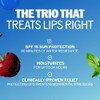 Chapstick Lip Moisturizer (Original, Cool Mint & Black Cherry Flavors,