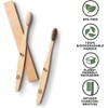 GREENZLA Bamboo Toothbrushes (12 Pack) | BPA Free Soft Bristles