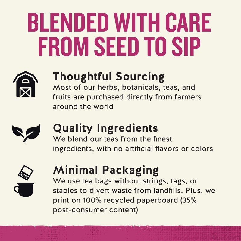 Celestial Seasonings Sleepytime Wellness Echinacea Immune Boost, Caffeine Free, 20