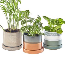 CHIVE ‘Minute’ Ceramic Succulent Planters — Set of 3 — 3” Indoor Cactus & Flower Container Pots with Drainage & Detachable Saucer — Terracotta Mix