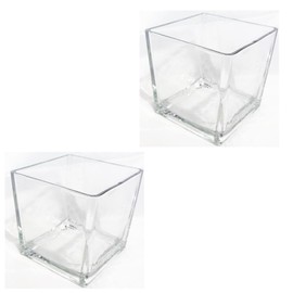 Decorative Glass Flower Vase, 4x4x4 inches, Square, Clear Centerpiece 2 Pack