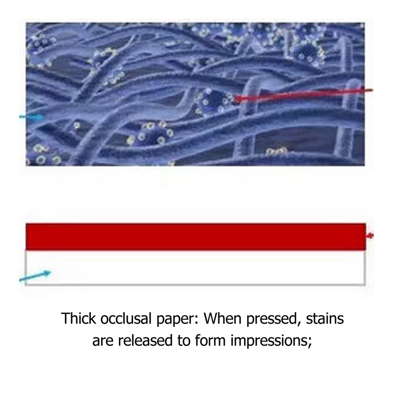 400pcs Blue Thin Dental Articulating Paper Double Side Bite Paper