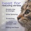 BUDDYJOY Cat Calming Diffuser Refills – Long-Lasting 30-Day Formula with