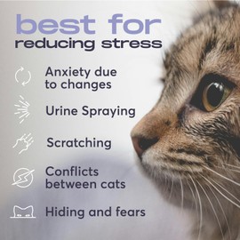 BUDDYJOY Cat Calming Diffuser Refills – Long-Lasting 30-Day Formula with Pheromones for Stress Relief, Relaxation, and Anxiety Reduction in Cats – (1 Diffuser + 2 Refills)
