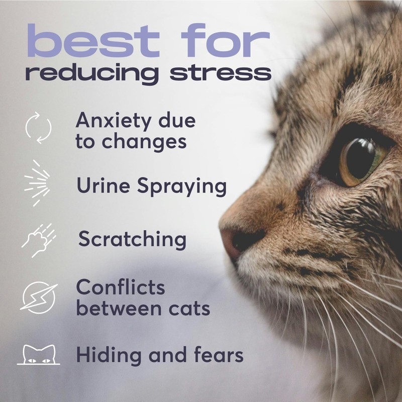 BUDDYJOY Cat Calming Diffuser Refills – Long-Lasting 30-Day Formula with