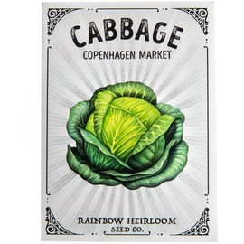 Cabbage Seeds for Planting | Copenhagen Variety (2g Packet - Approx 460 Seeds) | Non-GMO & Heirloom Seeds | Illustrated Seed Packet with Growing Instructions by Rainbow Heirloom Seed Co.