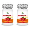Berberina Hcl, 120 Cápsulas (2 Frascos 60 Cap C/u) Natural