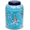 New English Teas Peter Rabbit's Daisies Tea Tin with 240