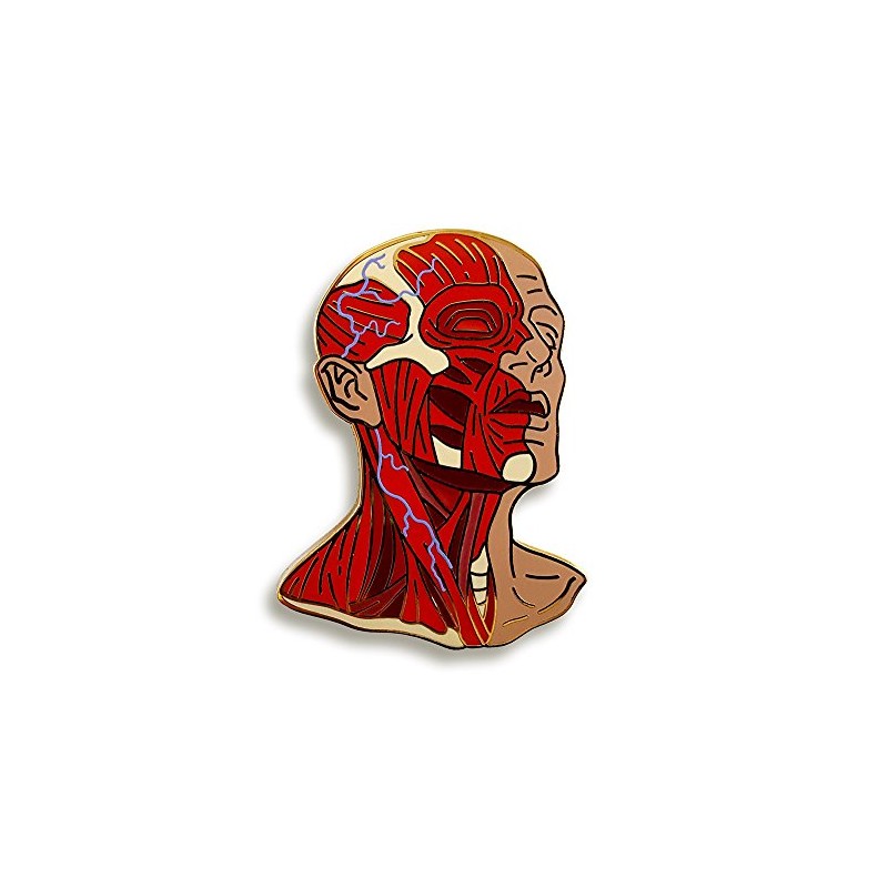 Pinsanity Head Anatomy Enamel Lapel Pin