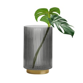 Torre & Tagus 7" Grey Glass Vase for Flowers & Ribbed Hurricane for Pillar Candles with Gold Metal Trim, Clear Black Ribbed Glass Vase for Flowers, Home Decor & Wedding Gift (Adele Cylinder Vases)