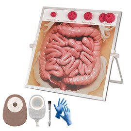 MedEduQuest Ostomy Care Simulator Kit, Educational Tool for Nurses, Medical Students & Patient Guidance, Hangable & Tabletop Design for Easy Use and Training