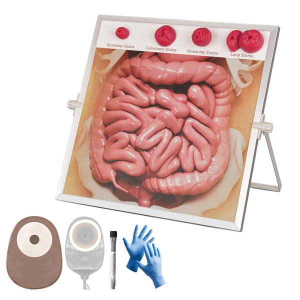 MedEduQuest Ostomy Care Simulator Kit, Educational Tool for Nurses, Medical