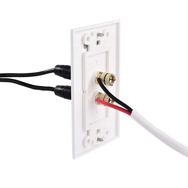 Peakloong 2 Posts Speaker Wall Plate Home Theater Wall Plate
