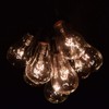 Hometown Evolution, Inc. Vintage Edison Outdoor String Lights (PS50 Clear