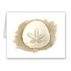 DJ Rogers Fine Art Sand Dollar - Set of 10
