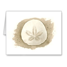 DJ Rogers Fine Art Sand Dollar - Set of 10 Note Cards With Envelopes
