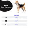 Pinkaholic New York Lidia Vest Dog Harness Step-in Warm Winter