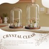 Suclain 2 Pcs Glass Display Dome Cloche 10” 7” Tall