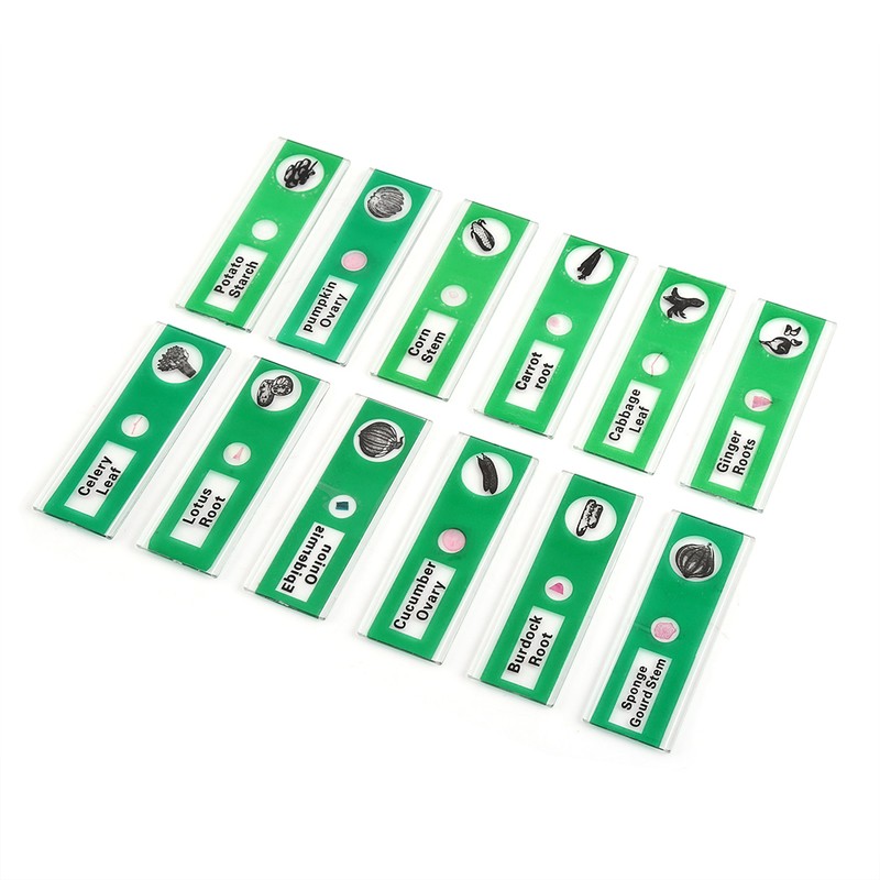 A Set Plastic Prepared Microscope Slides Animals Insects Plants Flowers