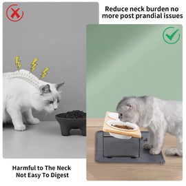 Elevated Whisker Friendly Cat Bowls, 15 Tilted Stand Anti Vomiting Raised Dishes for Food and Water, Ceramic Bowls for Cats and Puppy,Bamboo