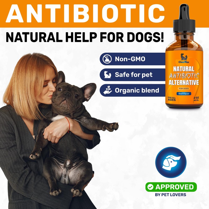 Natural Antibiotics for Dogs for Allergies, Infections, Coughs, Digestive Moments