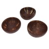 Coconut Bowl Set Leakage Proof Reusable Hand Polished Coconut Shell