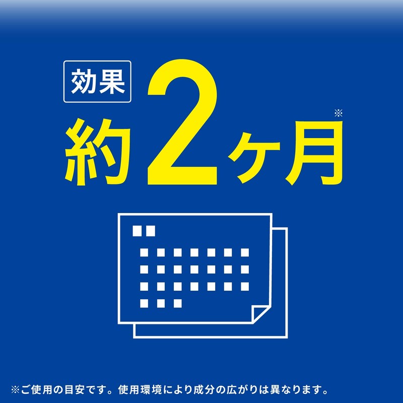 Earth Corporation Cleverin, Shoe Cupboard Deodorizer, , ,