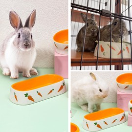 Rabbit Ceramic Feeding Bowl Ceramic Rabbit Ceramic Bowl for Small Animals Drinking Bowl Food Bowls for Hamsters Chinchilla Hedgehog Puppies Kittens Gerbils Ferrets (Long Bowl)